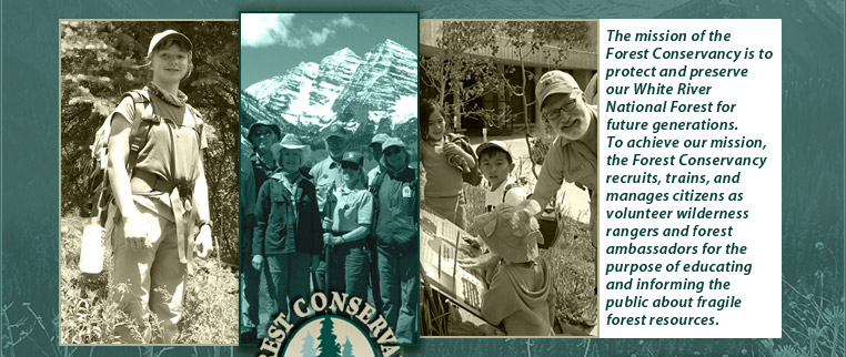 Welcome to the Forest Conservancy